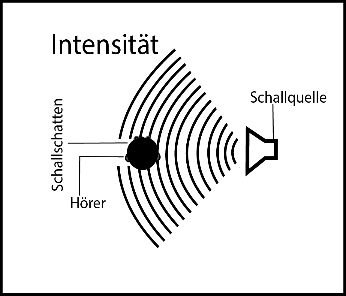Diagramm „Intensität“: Schallwellen eines Lautsprechers und der Schallschatten hinter dem Kopf des Hörers
