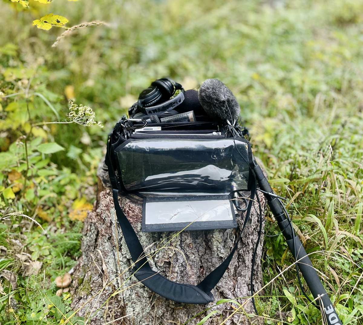 Feldrecorder, Kopfhörer, Richtmikrofon mit Windschutz und Tonangel auf einem Baumstumpf im Wald