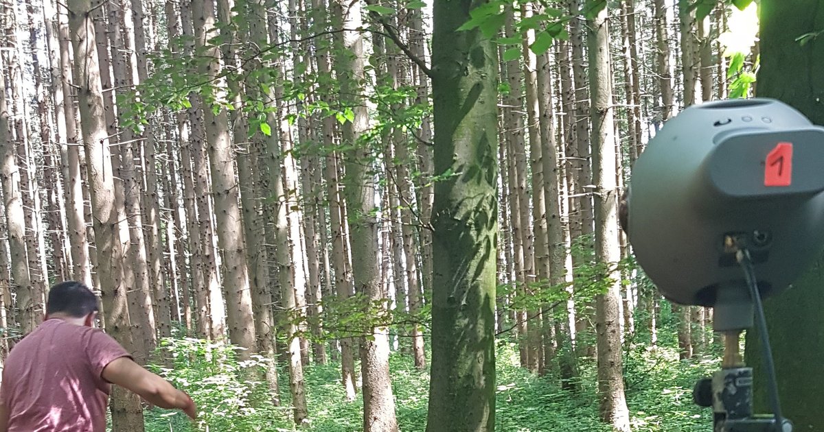 360-Grad-Kamera und Ambisonics-Mikrofon vor einem Baum im Wald