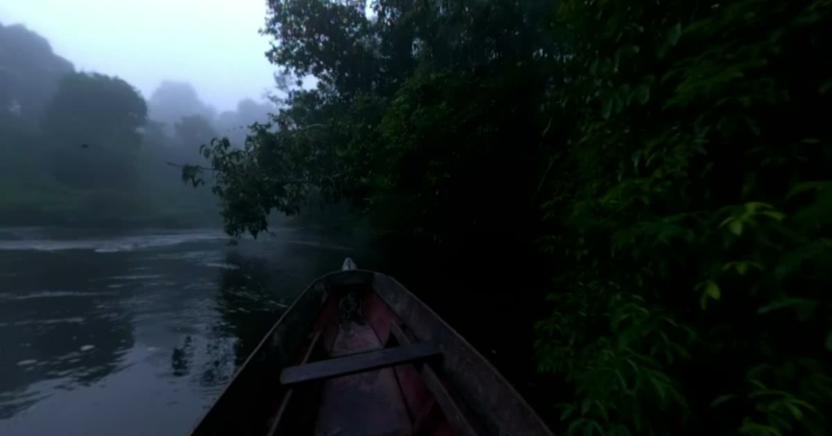 Blick vom Bug eines Holzbootes auf einen Fluss im Regenwald bei Morgennebel, Filmstill aus dem 360-Grad-Film