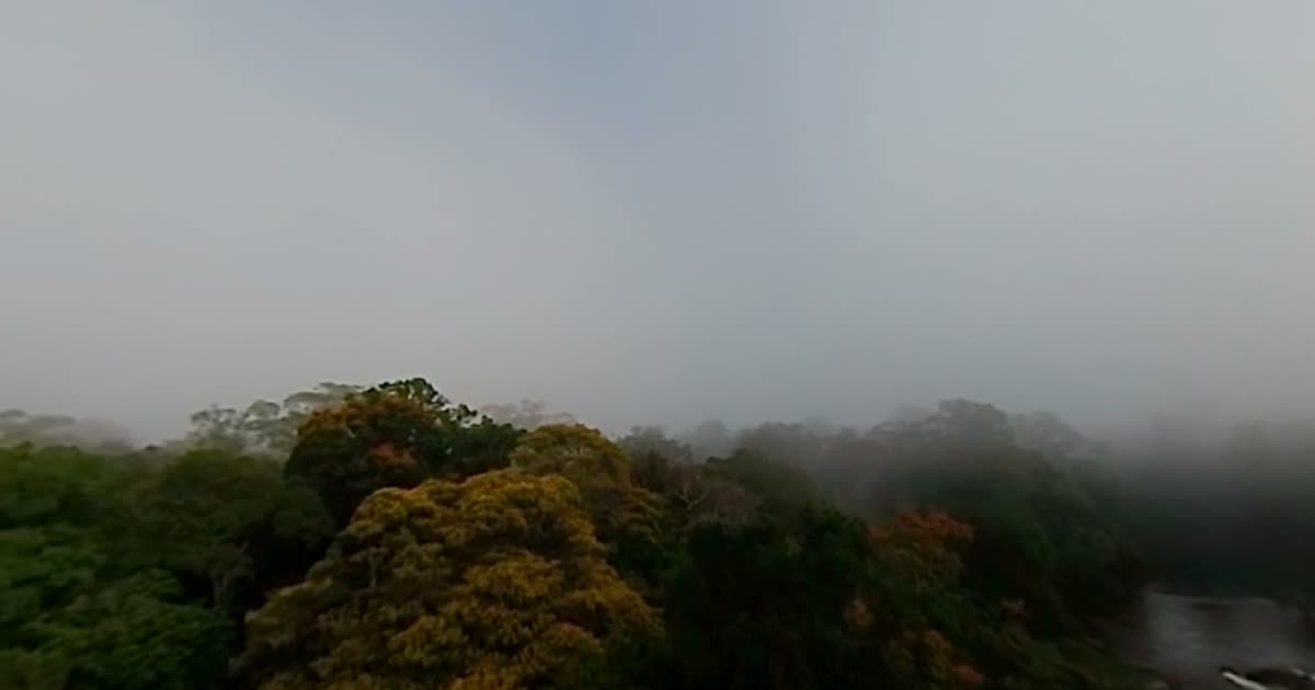 Luftaufnahme ueber dem Kronendach des Amazonas-Regenwalds im Morgennebel, Filmstill aus dem 360-Grad-Film Inside Tumucumaque